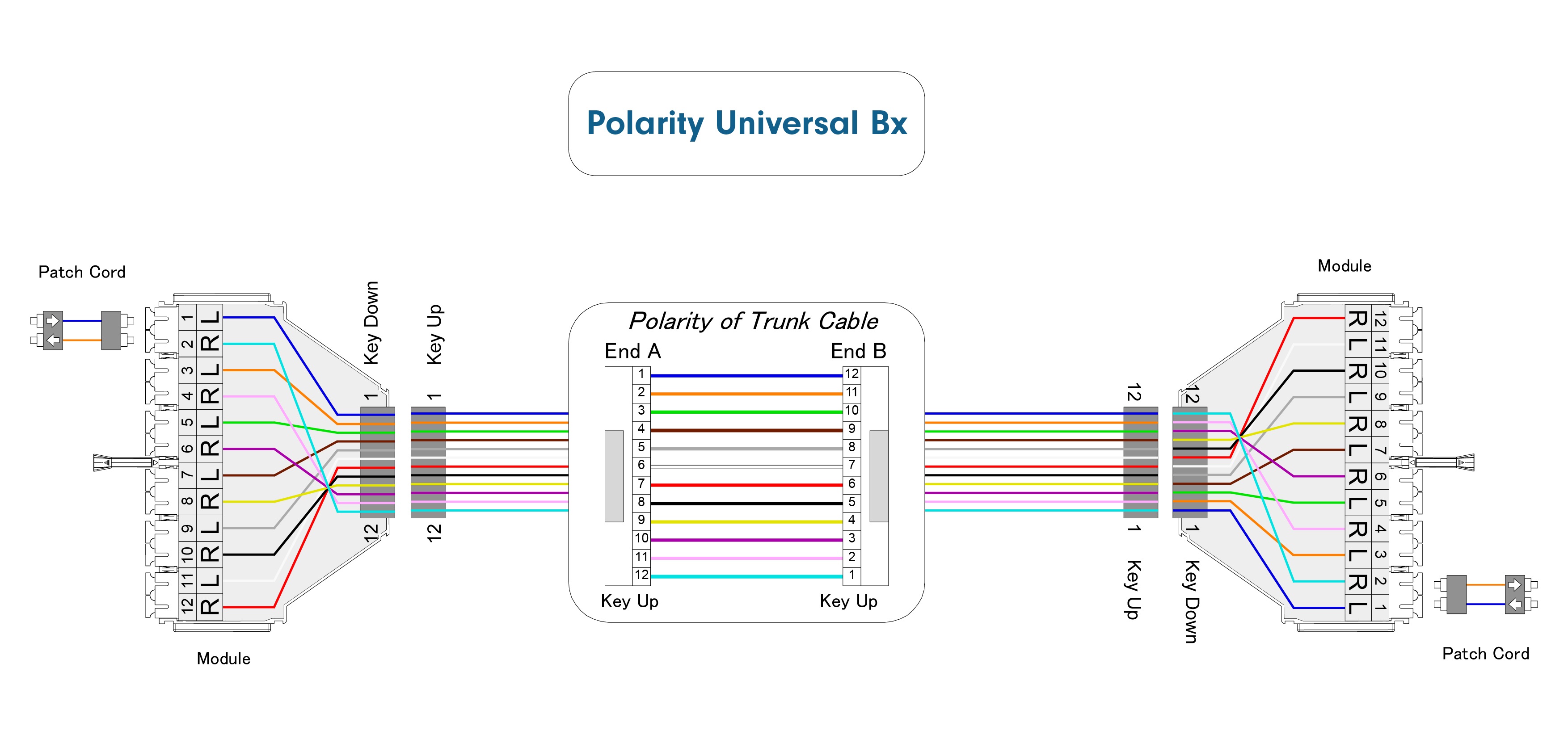 Polarity Universal Bx