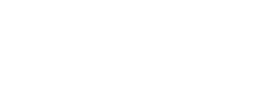 Nexconec Official Logo