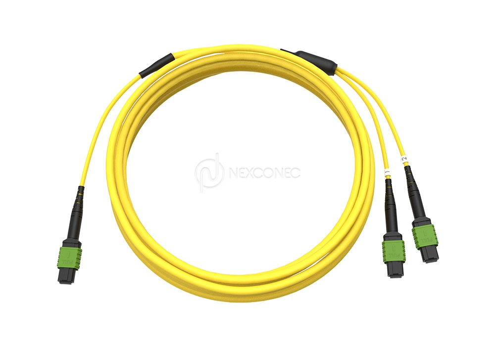 MTP/MPO Trunks 1x(Base-8) to 2x(Base-4)
