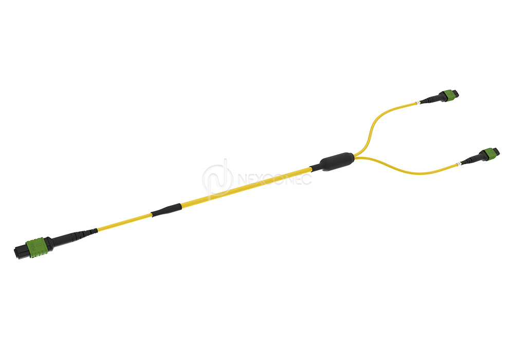 MTP/MPO Trunks 1x(Base-8) to 2x(Base-4)