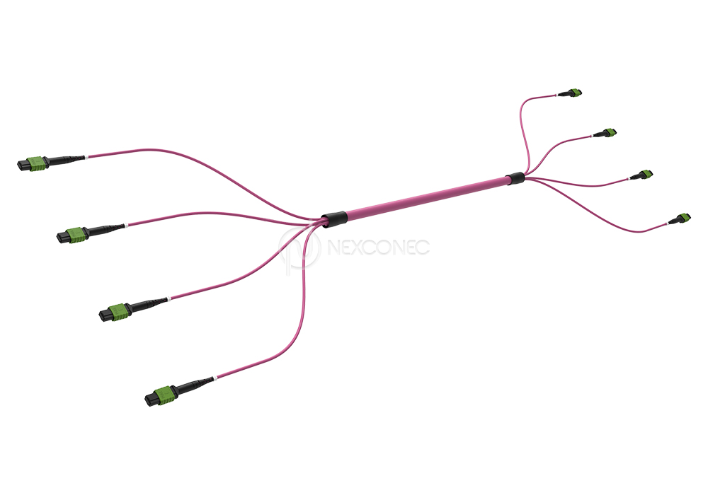 MPO (APC) MM OM4 Trunks