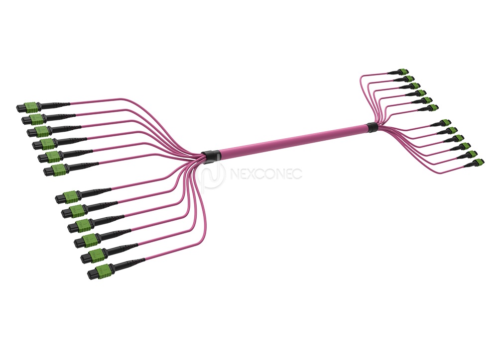 MPO (APC) MM OM4 Trunks