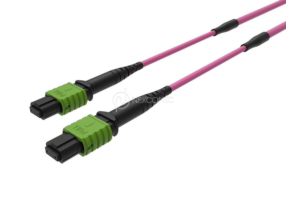 MPO (APC) MM OM4 Trunks