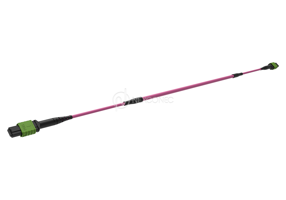 MPO (APC) MM OM4 Trunks