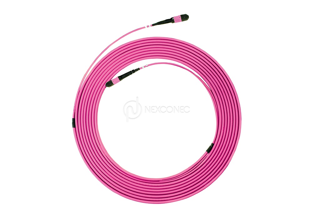 MPO (APC) MM OM4 Trunks