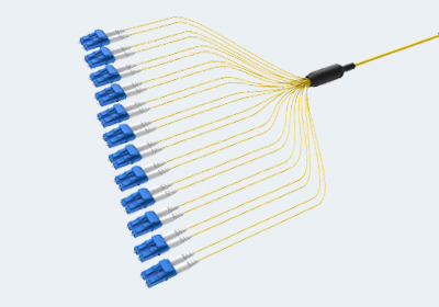 Multi-Fiber Assemblies